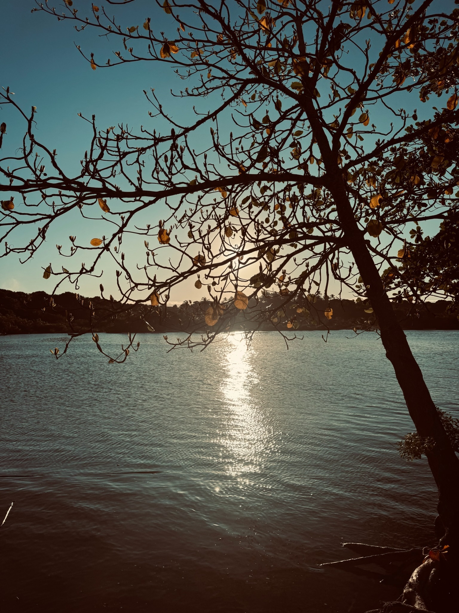 Golden Reflection — Caraíva, Brazil