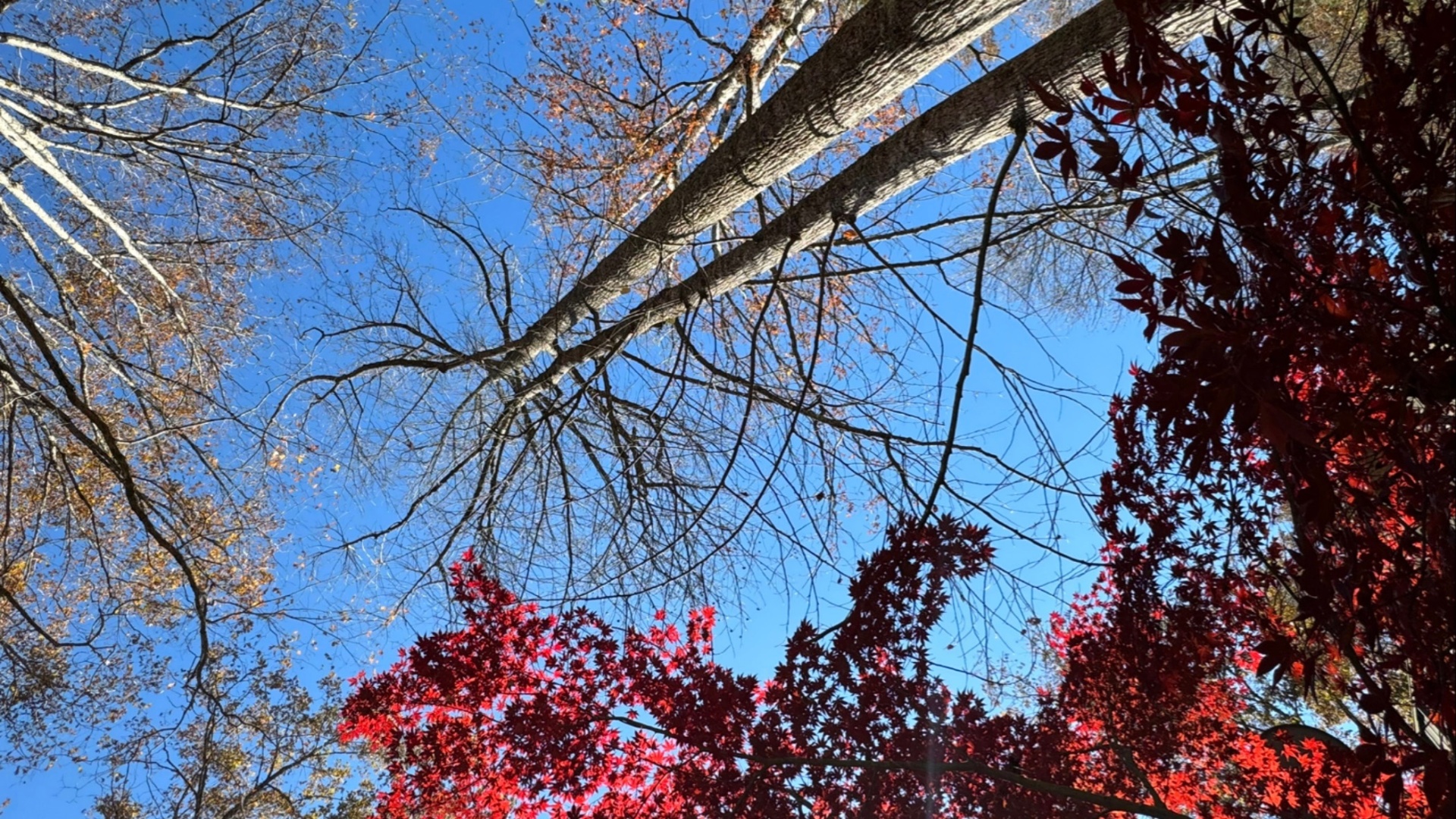 Season in Motion — Ellijay, Georgia