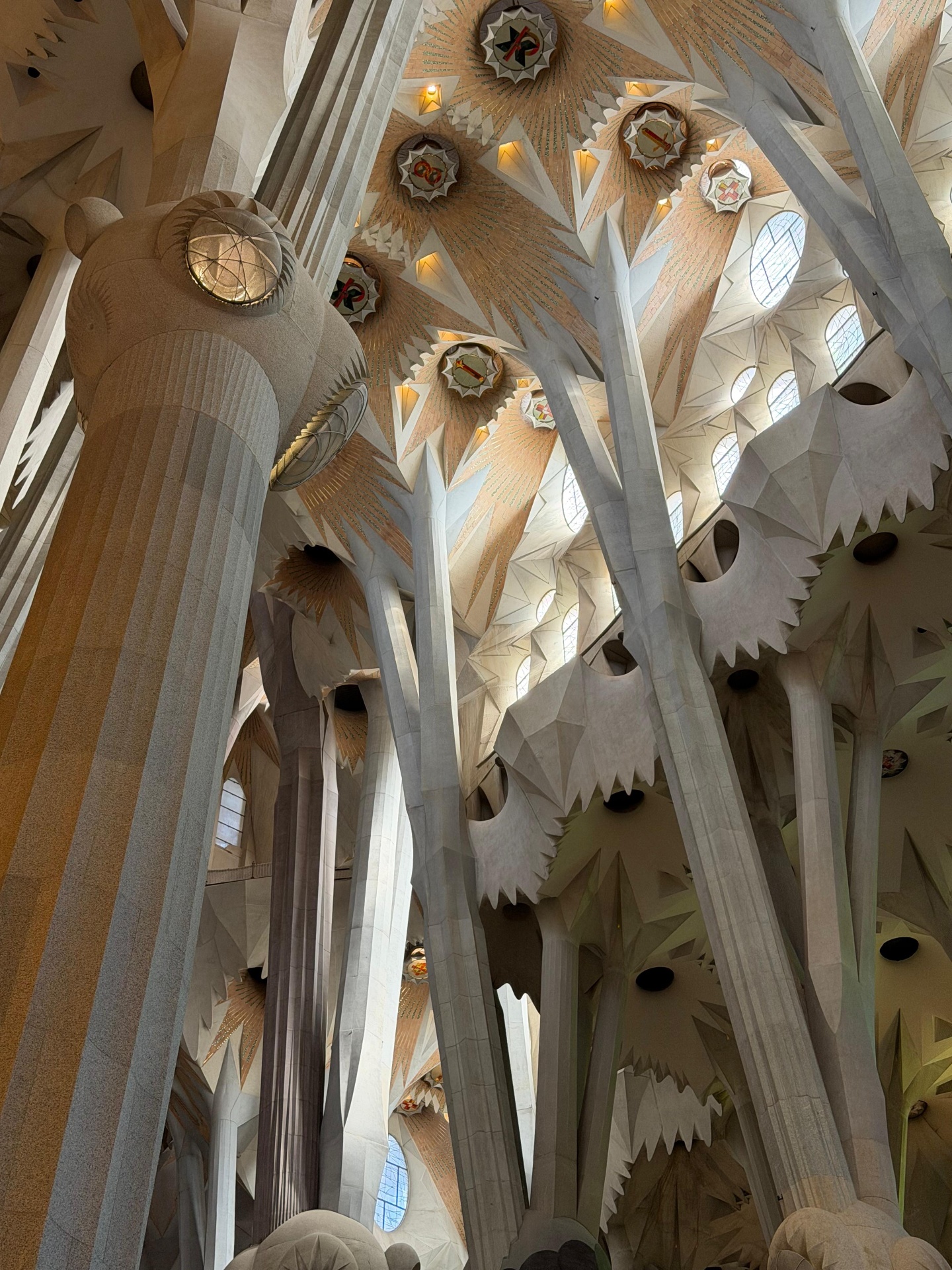 Bosque de Piedra — Barcelona, Spain