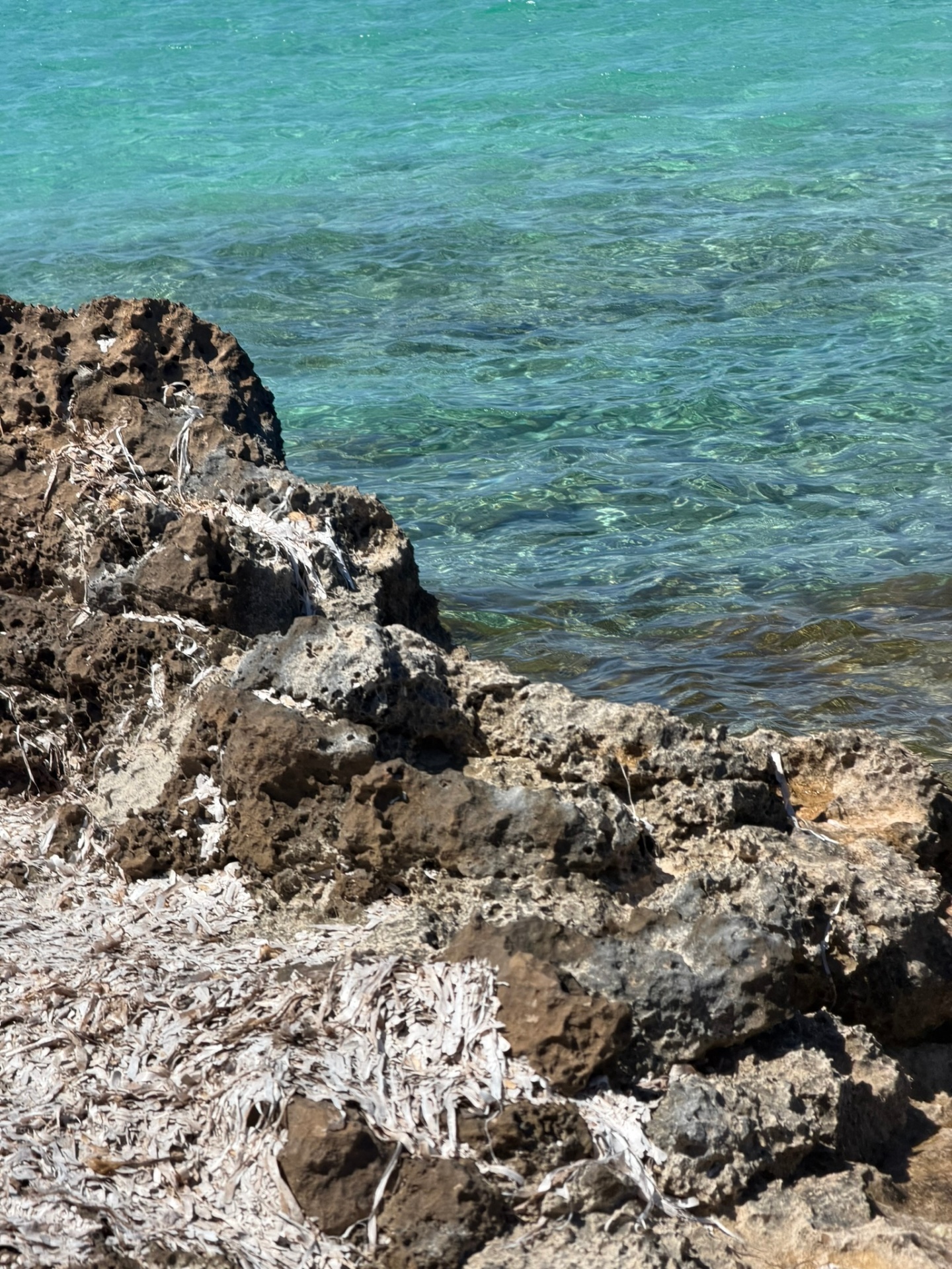 Encuentro I — Formentera, Spain
